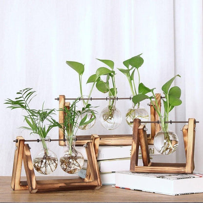 Fauna Planten Stekpotjes | Kweek thuis je eigen plantjes