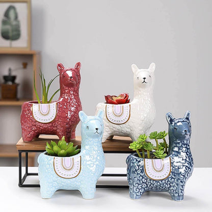 Alpaca Succulent Potten