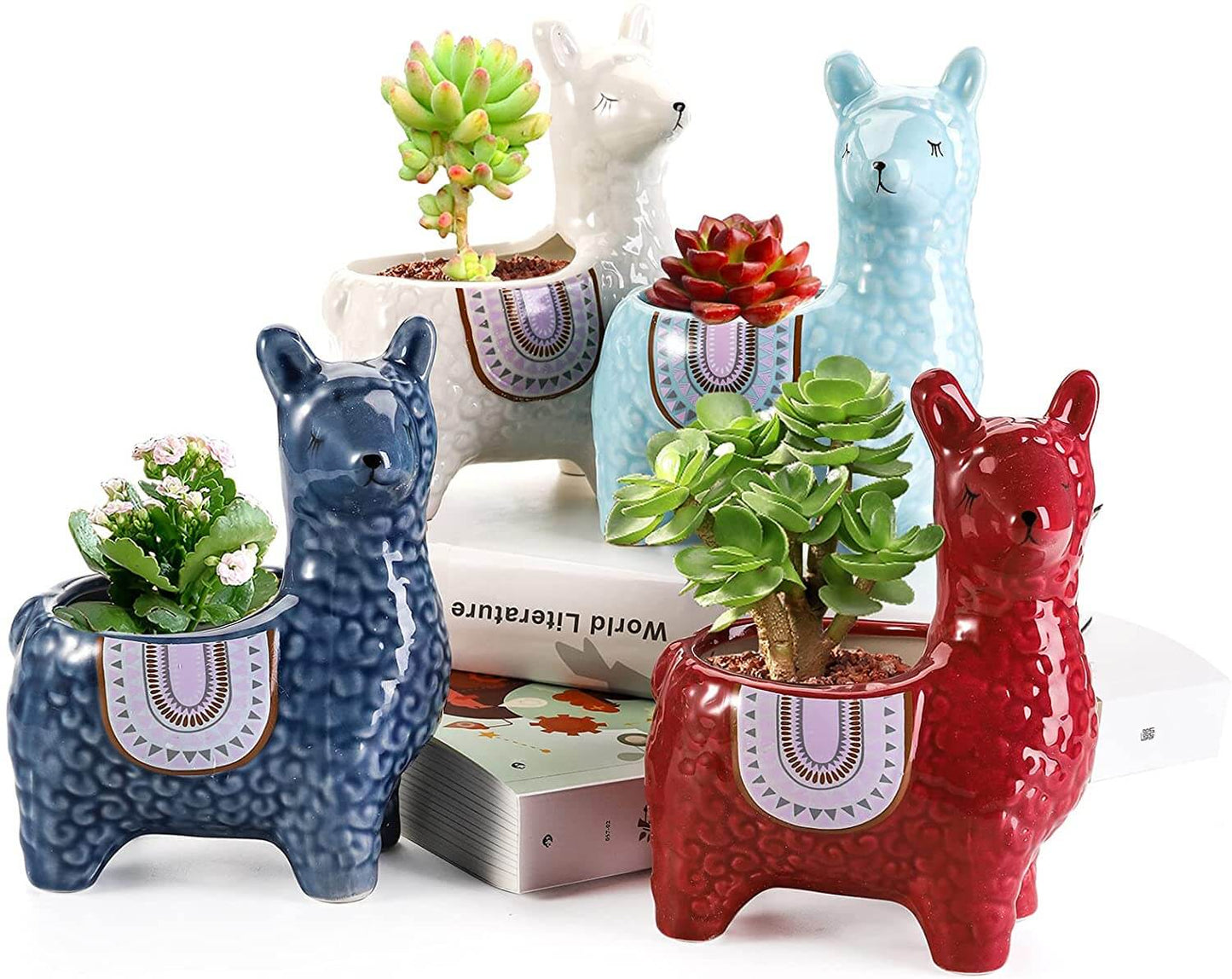 Alpaca Succulent Potten
