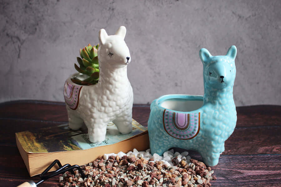 Alpaca Succulent Potten
