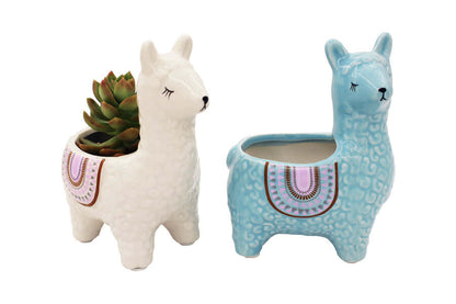 Alpaca Succulent Potten