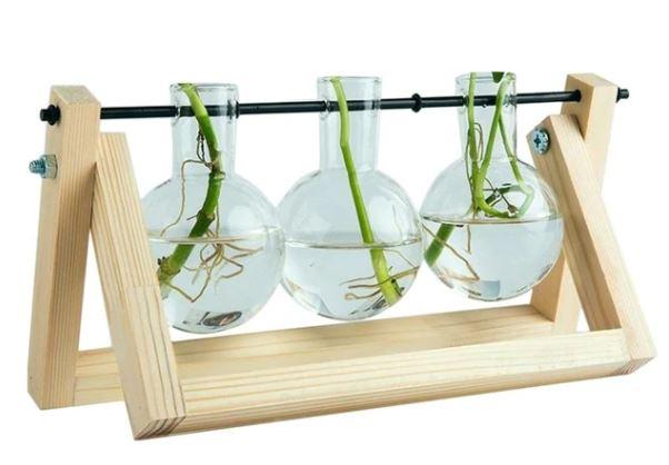 Fauna Planten Stekpotjes | Kweek thuis je eigen plantjes