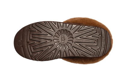 UGG Tazzlita Hardwood